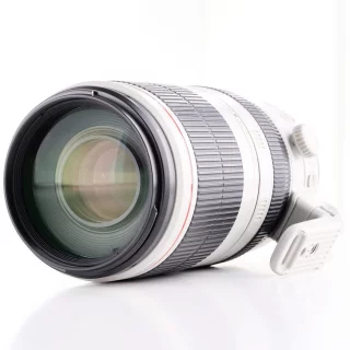 canon-ef-100-400mm-f45-56-l-is-ii-usm-lens-used-06a01c9370d2f6.jpg