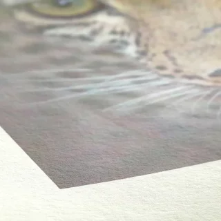rullapaperi 24"x12m