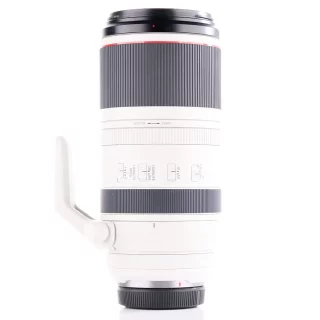 canon-rf-100-500mm-f45-71-l-is-usm-lens-used-06a3d06d0c7969.jpg