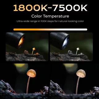 smallrig-6225-rm-01b-macro-led-light-06a47d42872148.jpg