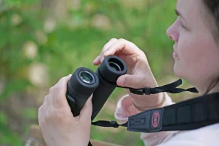 kowa-sv-iii-10x42mm-06a5611570a4f1.jpg