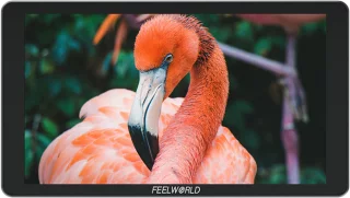 Feelworld P6XL 6" – kameramonitori