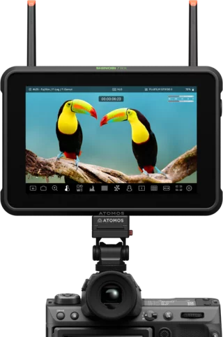 atomos-shinobi-7-rx-06a8d38173061b.png