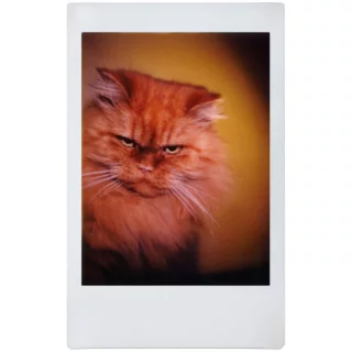 lomography-lomoinstant-automat-glass-magellan-long-length-camera-06a8e980b3da7c.jpg