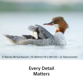 sony-fe-400mm-f45-gm-oss-lens-06aa90cdcdc242.png