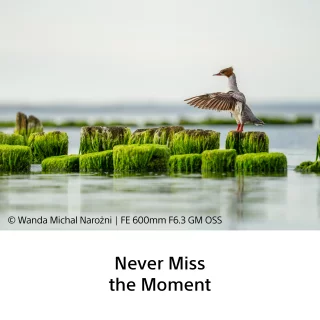 sony-fe-100-400mm-f45-gm-oss-lens-06aa9144f1bcb5.png