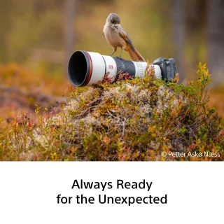sony-fe-100-400mm-f45-gm-oss-lens-06aa9144f3affa.png