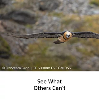 sony-fe-100-400mm-f45-gm-oss-lens-06aa91453e1f25.png