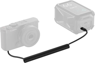 smallrig-6657-dummy-battery-power-cable-for-usb-c-for-panasonic-dmw-blk22-06abbc1bdcac90.webp