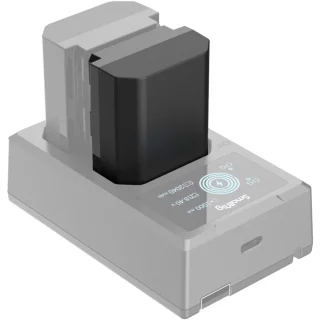 smallrig-4074-camera-battery-np-fz100-06ac4fa83a6cb5.jpg