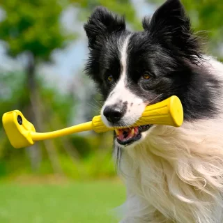 insta360_go_3_fetch_stick_koiran_selfiekeppi-064b7e4e7a48ed.jpg