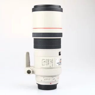 canon_ef_300mm_f4_l_is_usm_kaytetty-064ca566e15a4d.jpg