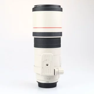canon_ef_300mm_f4_l_is_usm_kaytetty-064ca566f75b75.jpg