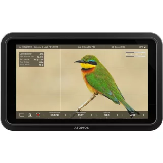 atomos_shinobi_ii_5_inch_1500nit_hdmi_monitor-066aca4b57e350.jpg