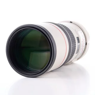 canon-ef-300mm-f4-l-is-usm-kaytetty-0671b8ff860099.jpg