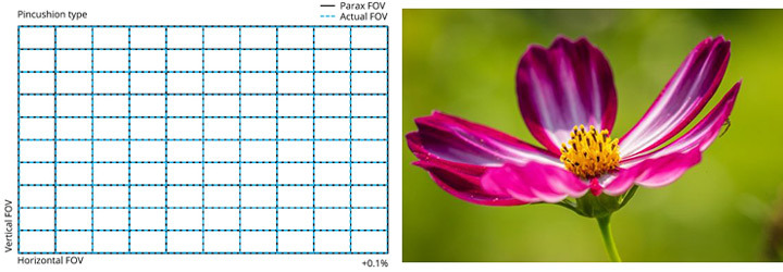 Irix-150mm f/2.8 Macro 1:1 vääristymä ja mallikuva