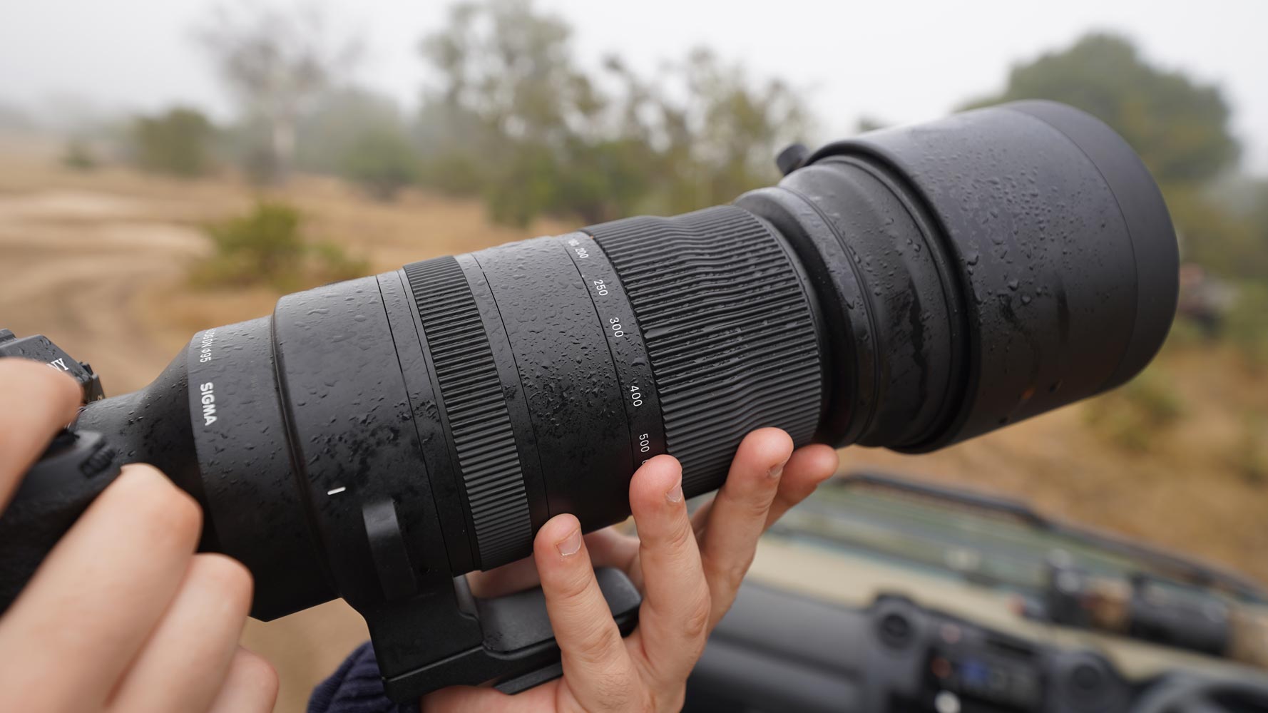SIGMA-150-600mm-F5-6.3-DG-DN-OS-Sports---Photographer-Trevor-Ryan-McCall-Peat-7.jpg