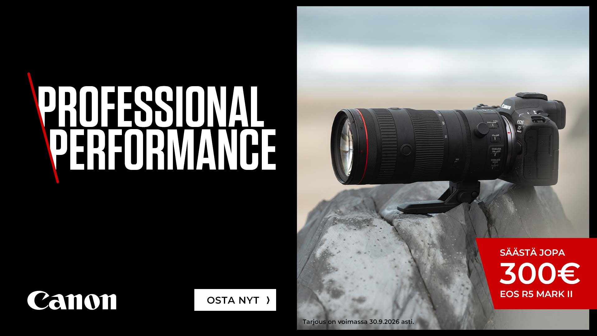 Professional-performance-1920x1080px-FI.jpg