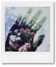 Fujifilm Instax Square SQ20 Double
